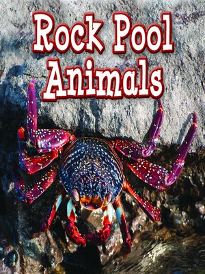 cover image of Rock Pool Animals